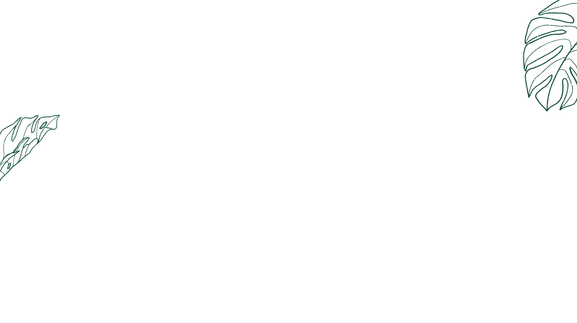 leaf background